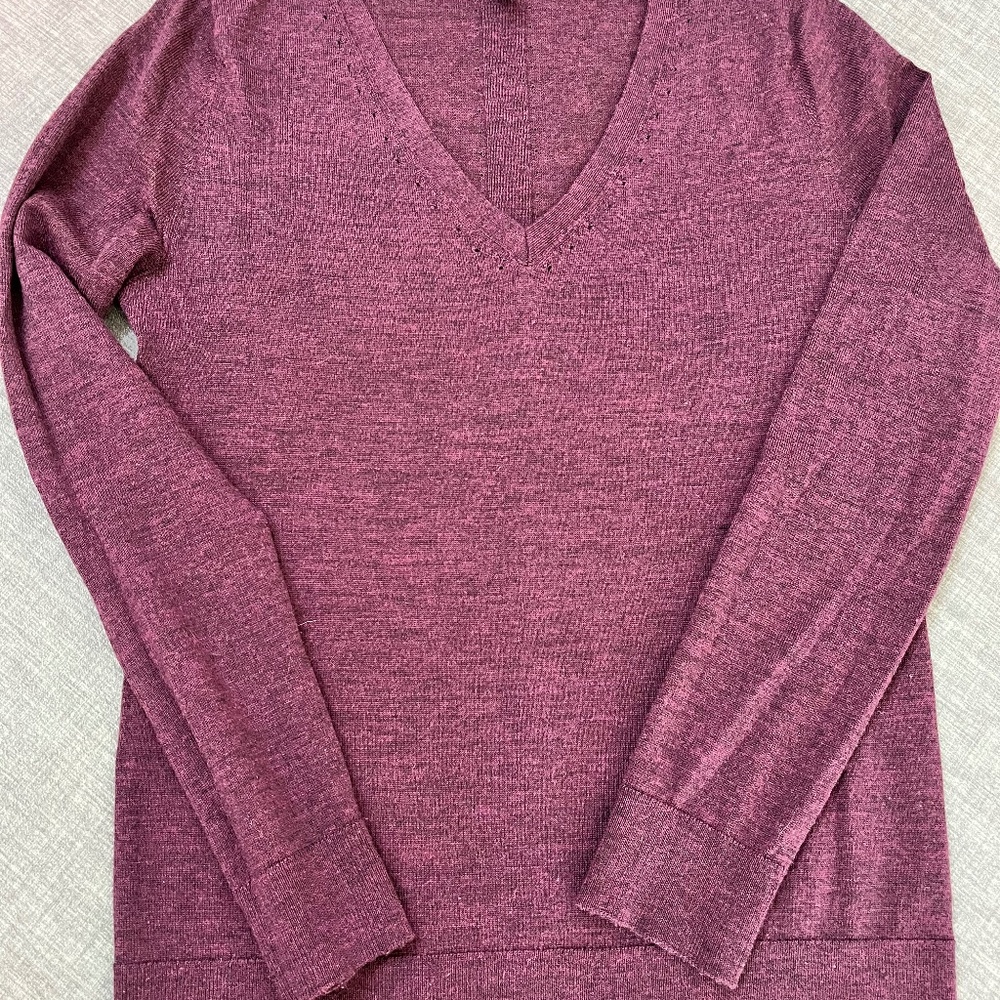 Banana Republic Merino Wool V-Neck Sweater